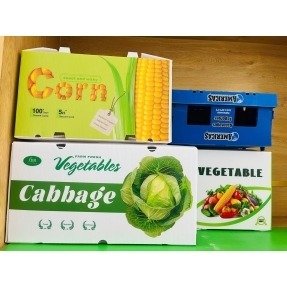 周转箱 và 包装盒 塑料 đựng 农产品